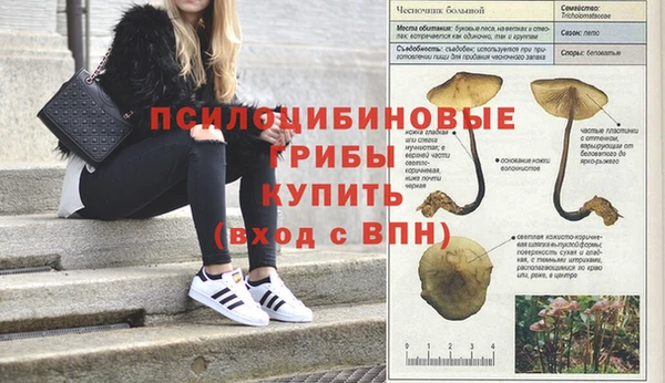 меф Нефтегорск