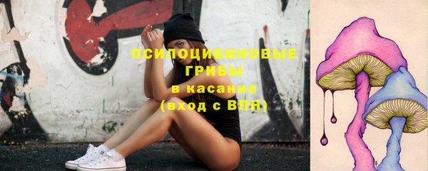меф Нефтегорск