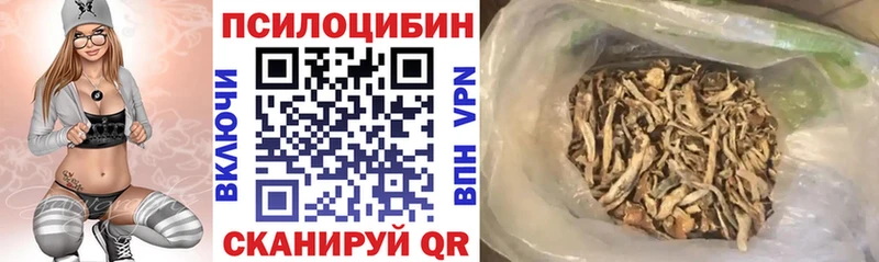 Псилоцибиновые грибы ЛСД mega ссылки Зеленогорск
