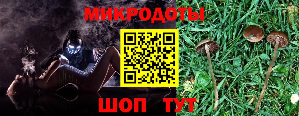 Галлюциногенные грибы прущие грибы Зеленогорск