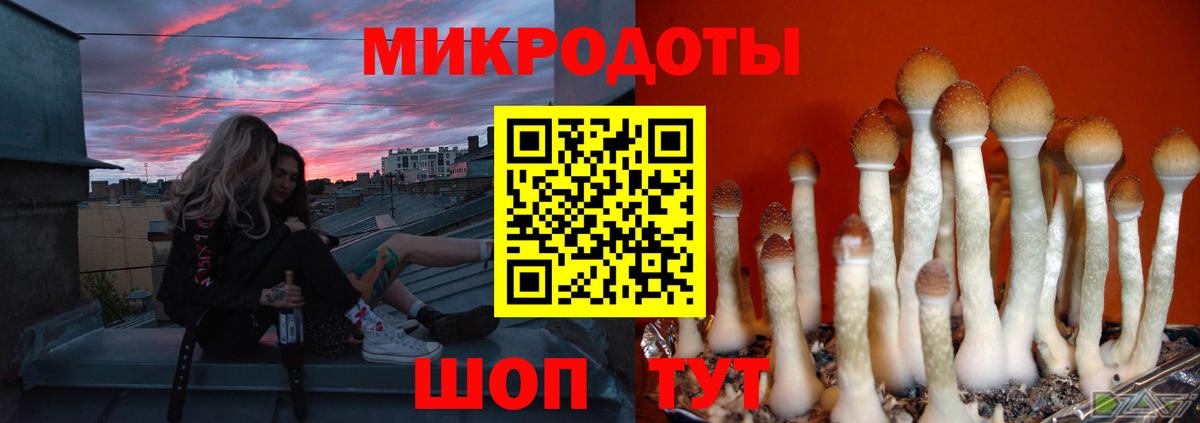 Псилоцибиновые грибы Magic Shrooms  Псилоцибиновые грибы прущие грибы  Зеленогорск  Вход с VPN 